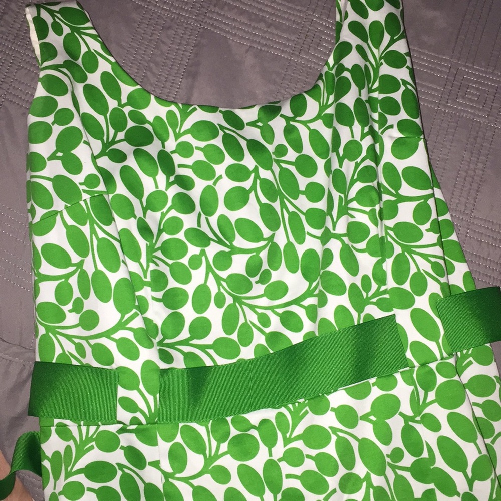 Beautiful green & white dress.